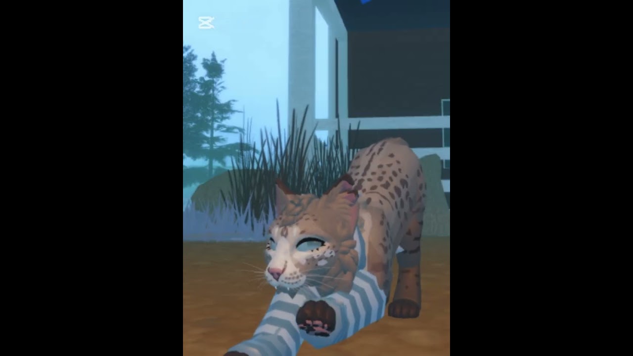 Making morphs in wcue&hellip; with no game passes/badges!!