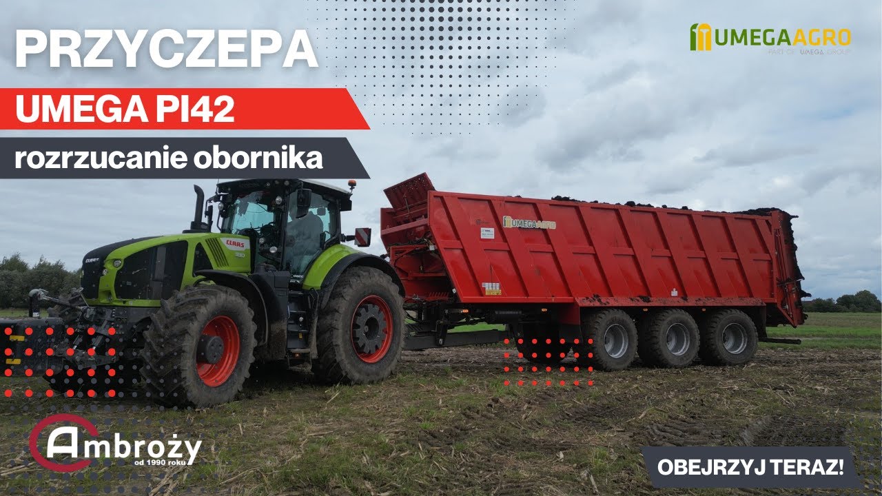 Rozrzucanie obornika przyczepą UMEGA PI42! MEGA ZESTAW NA POLU!