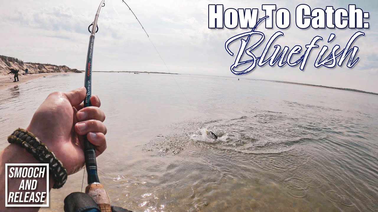 Как поймать луфаря — ЧАСТЬ 1 — Летняя рыбалка с берега на Лонг-Айленде — Рыбалка с катушкой для о...