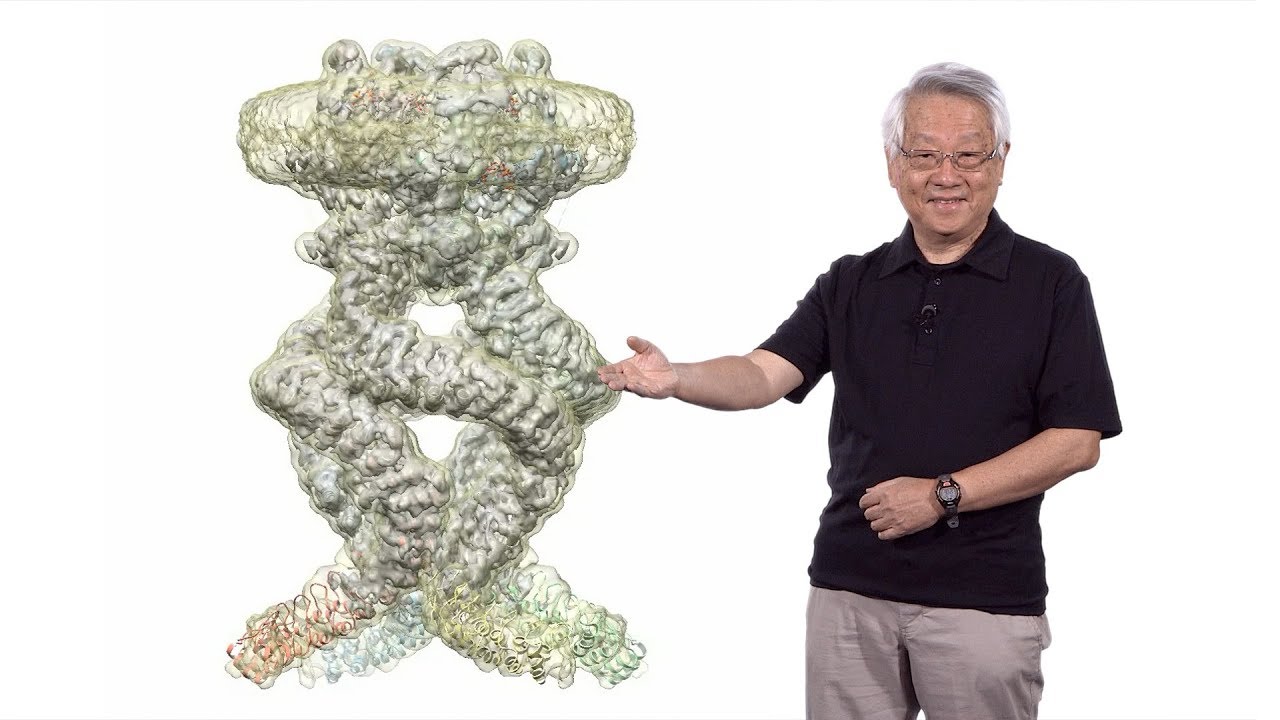 Yuh-Nung Jan (UCSF/HHMI) 2: Dendrite Morphology & Function