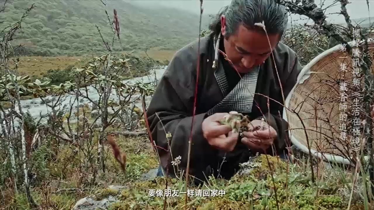 Vima House 維摩舍│第一集 生活在極境 藏香師的追尋 仁青德哲