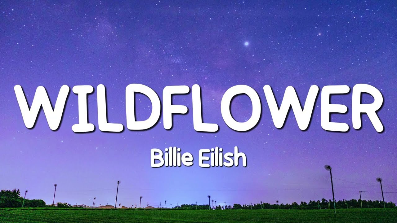 Billie Eilish - WILDFLOWER (Lyrics)