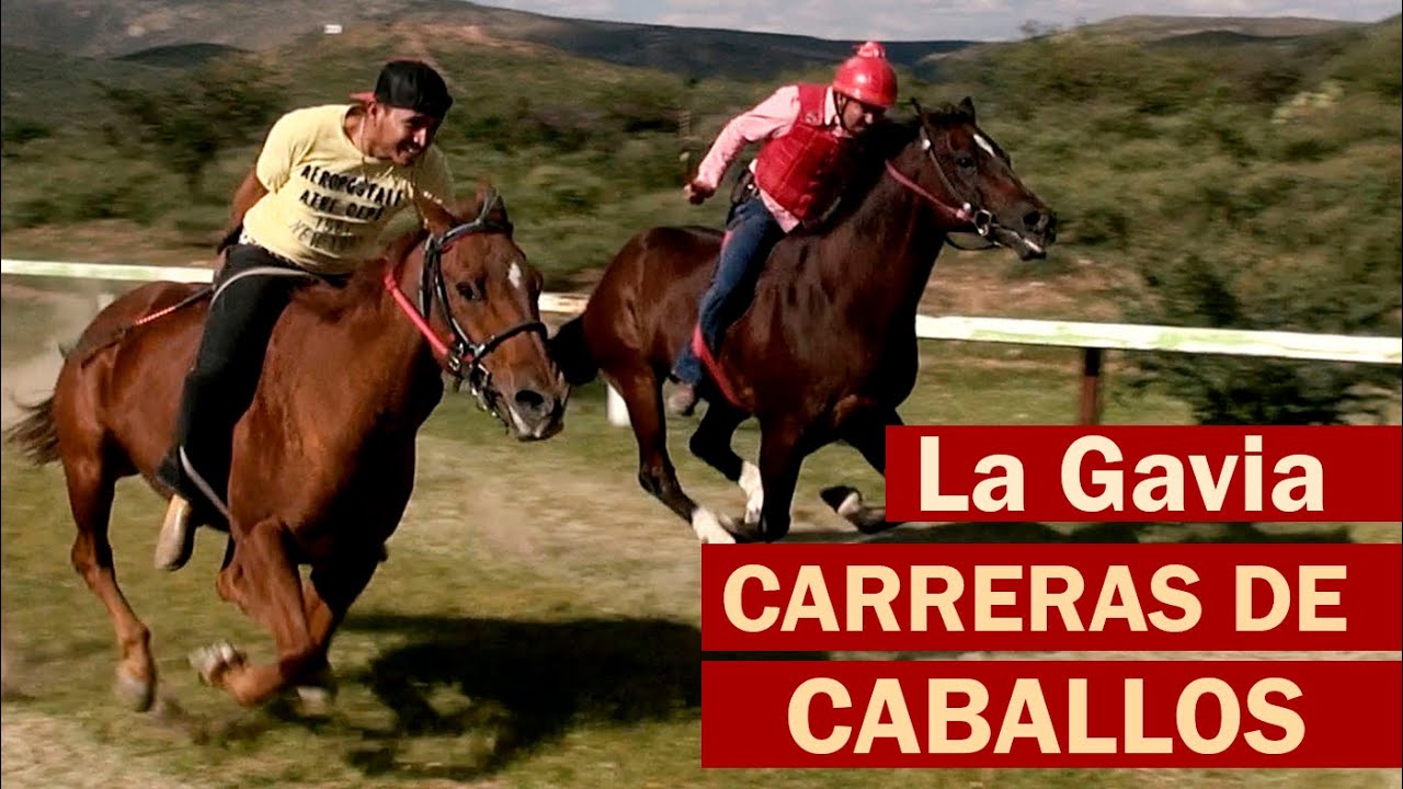 Carreras de Caballos - La Gavia Jerez Zacatecas 2022