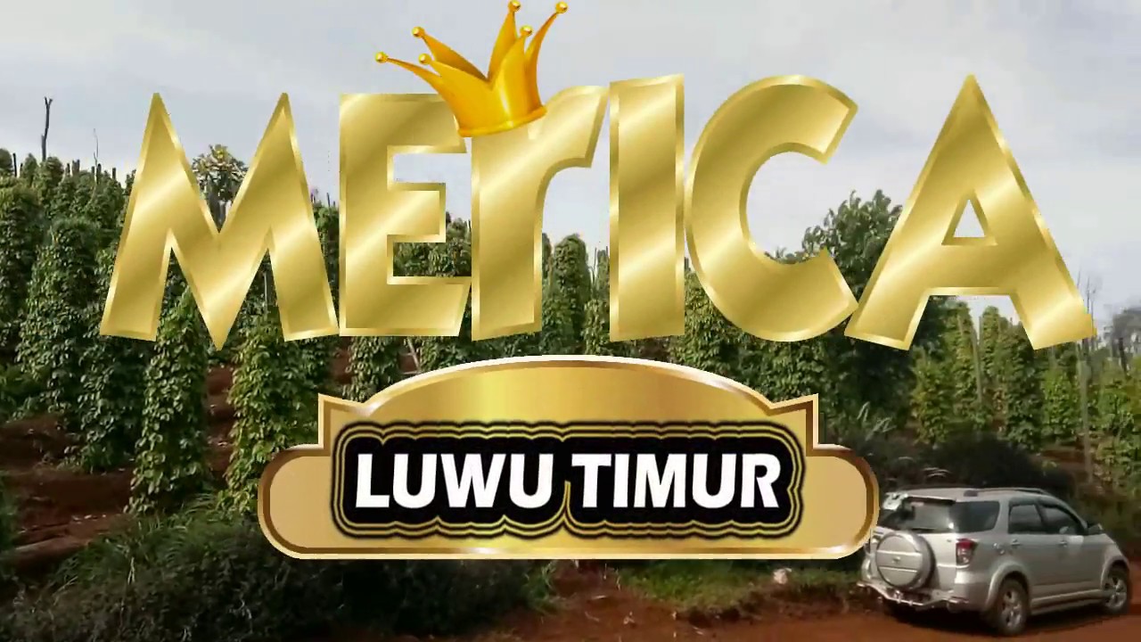 Emas dari LUWU TIMUR (MERICA)