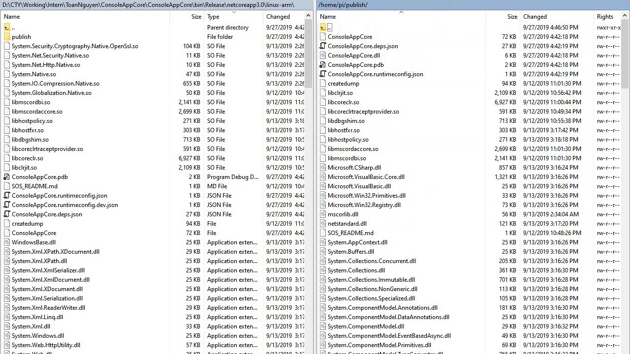 [.NET Core] Publish to Linux ARM native code on Windows