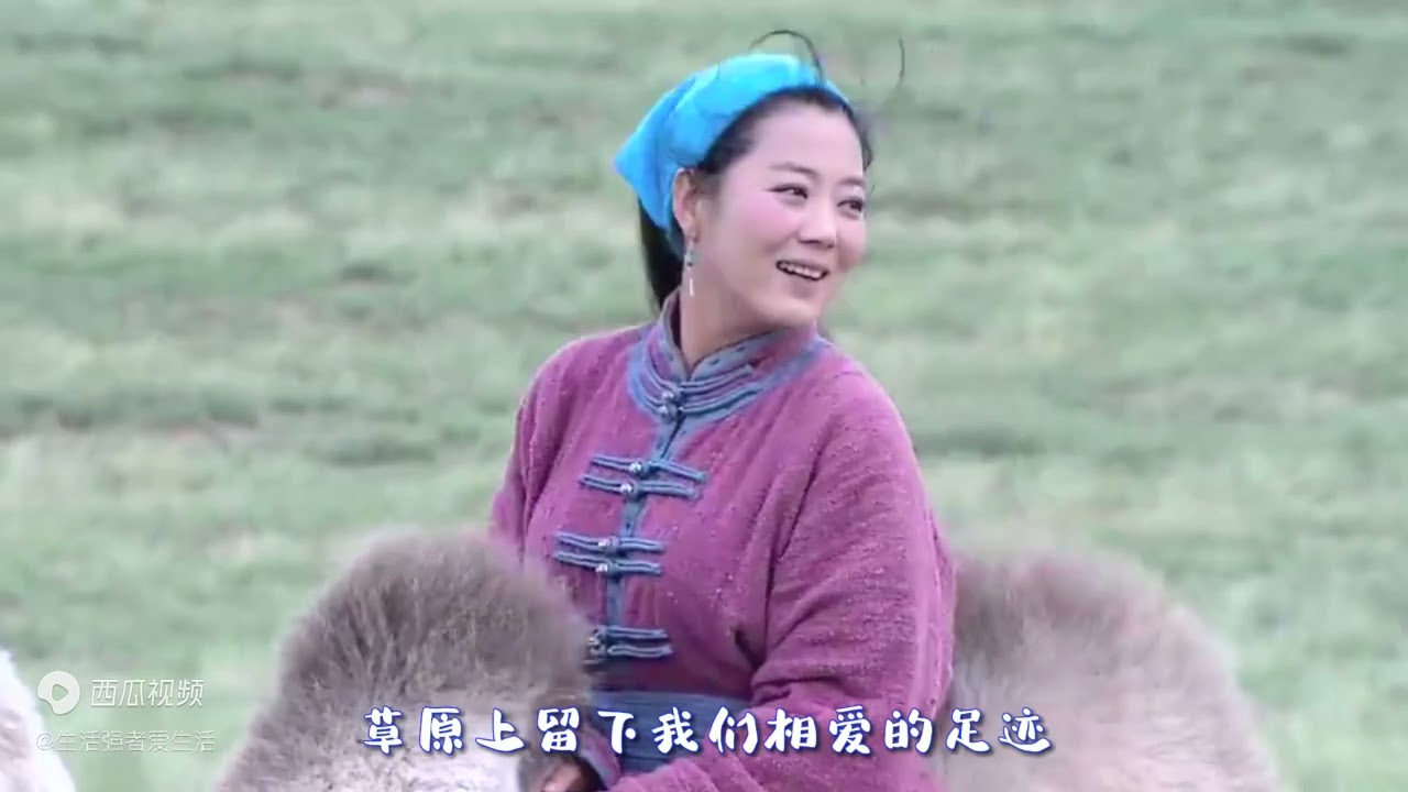 《草原情歌》谢军