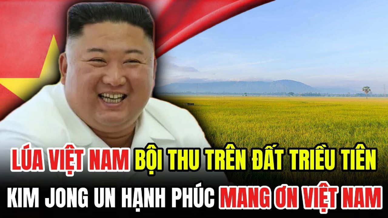 HIẾM HOI: Hạt Gạo VIỆT NAM Đã Khiến Ông Kim Jong Un 