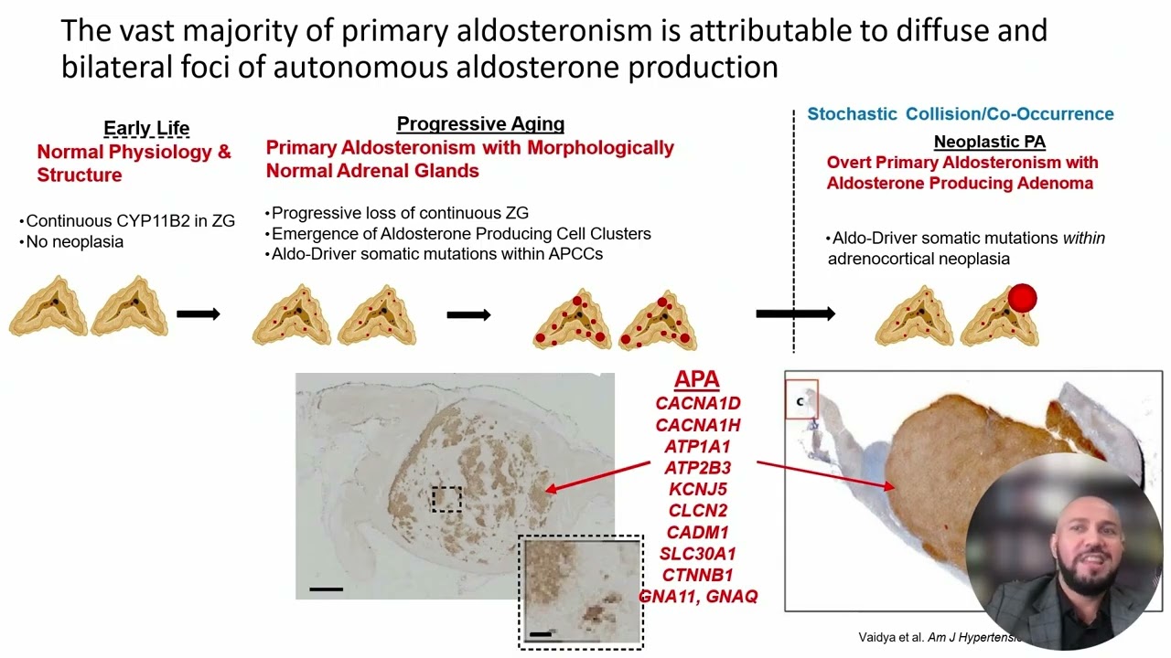 Symposium on Endocrinology – Adrenal and Thyroid