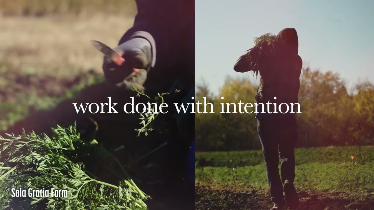 Rooted in Champaign-Urbana: The Journey from Farm to Experience