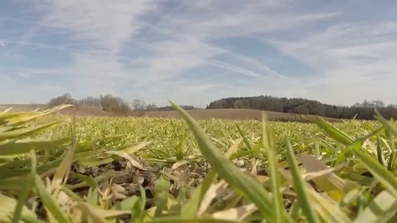 DJI Phantom 2 Scheyern