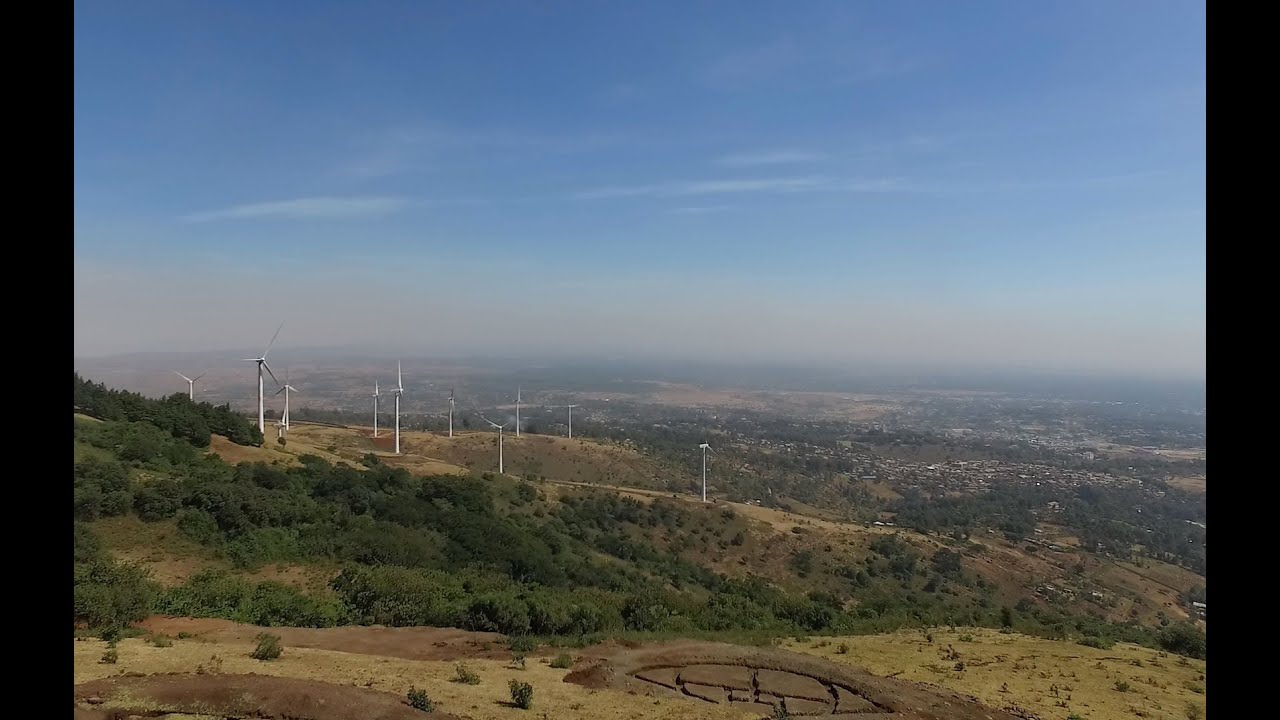 A pearl in the City in Peril