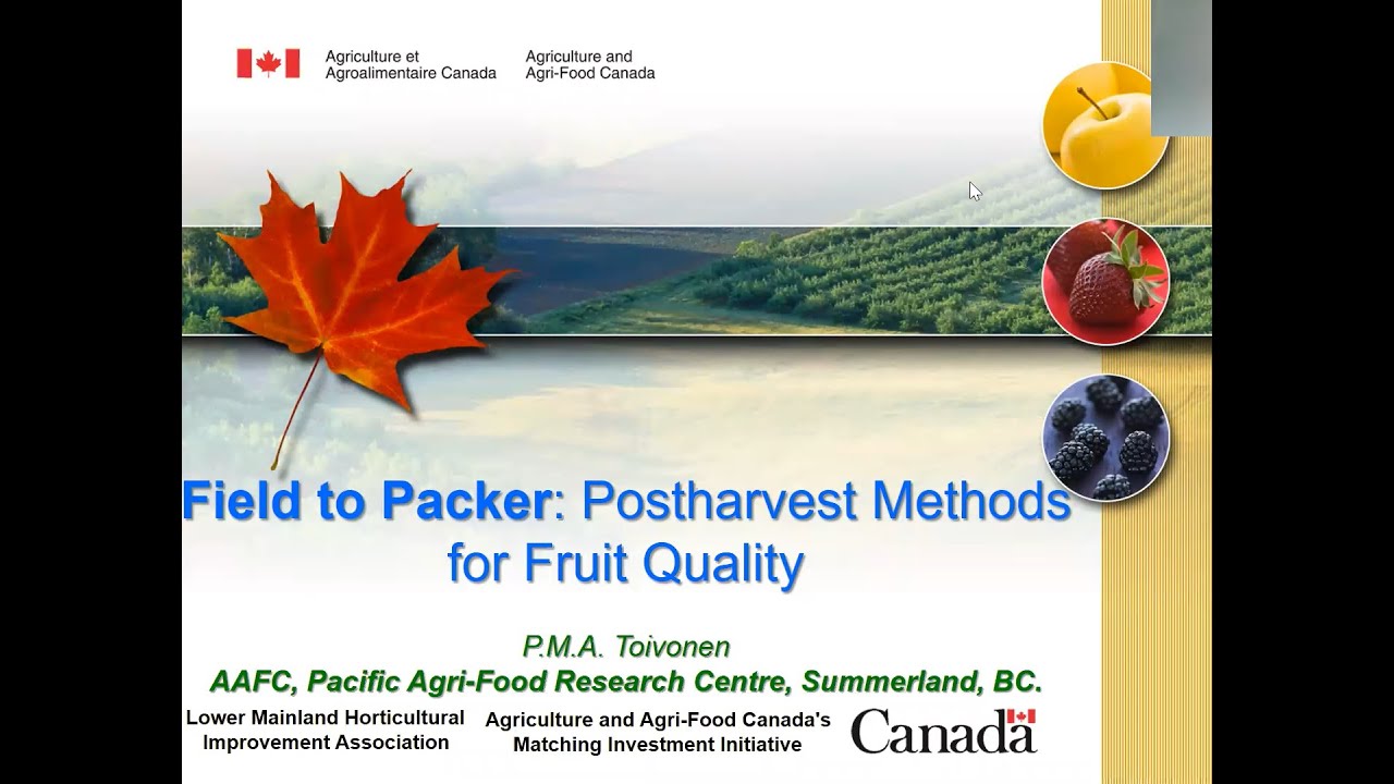 Field to Packer: Postharvest Methods for Fruit Quality - Dr. Peter Toivonen