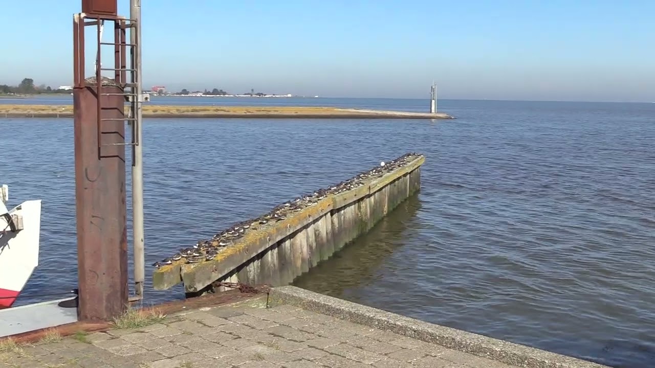 Horumersiel . Hafen und Seebad 2021
