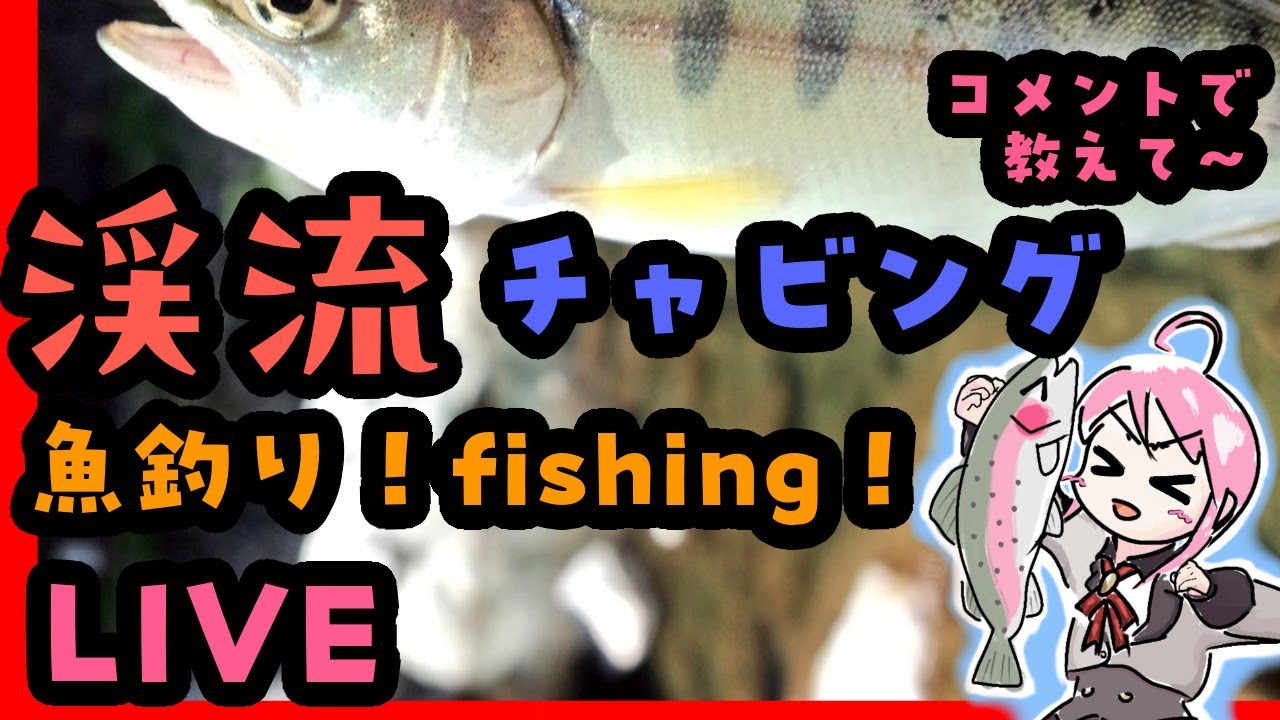 渓流チャビングやります！ 🎣ԅ( ˘ω˘ ԅ)教えて下さい！  #チャビング #ライトゲーム #VTuber #魚釣り #fishing #Vチューバー 2026.03.14