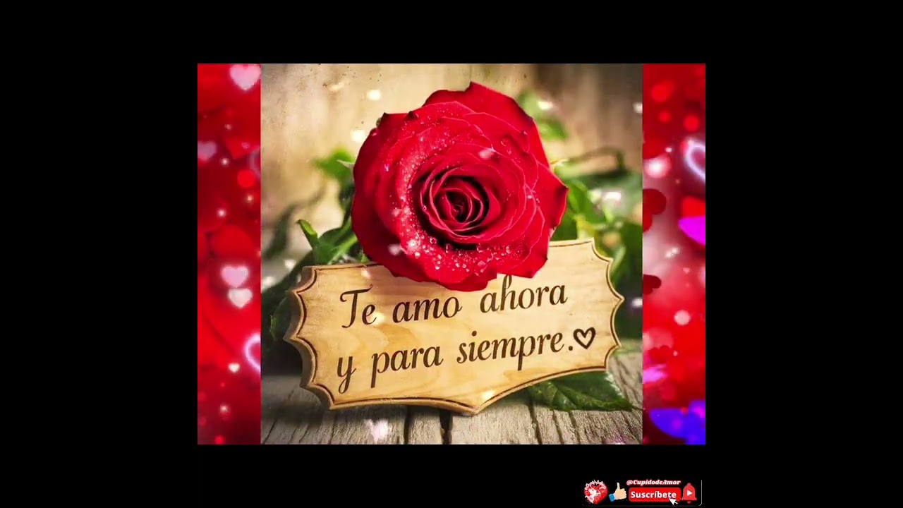 Este Mensaje Es Más Importante De Lo Que Crees 💖