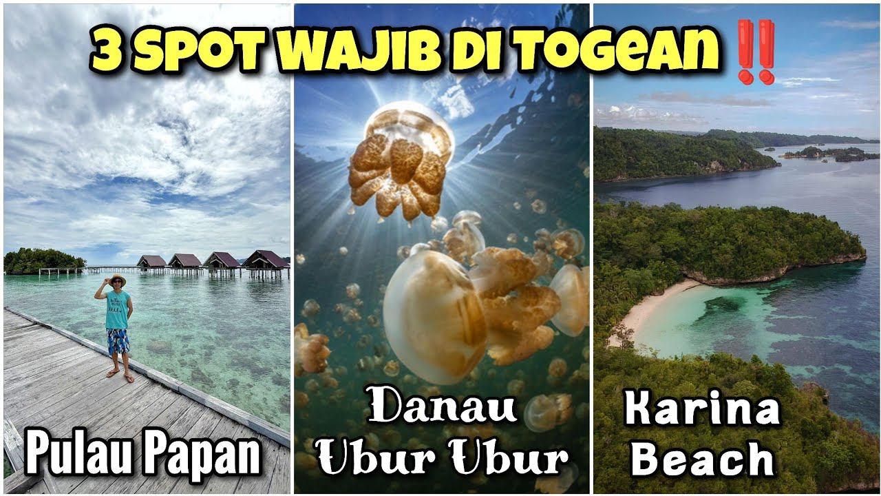 KEAJAIBAN BAWAH LAUT TOGEAN‼️SNORKELING DI DANAU UBUR UBUR 🪼😍