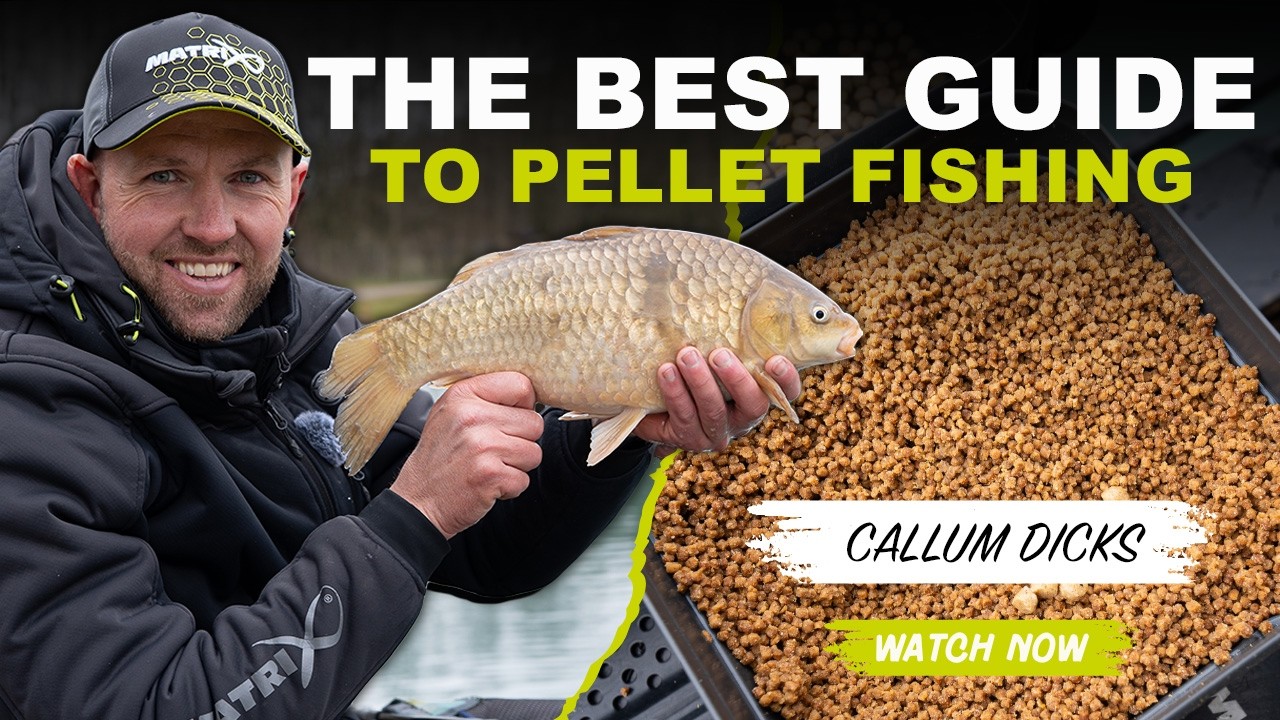MASTER PELLET FISHING THIS SPRING | The Ultimate Guide to Hard and Soft Pellet with CALLUM DICKS