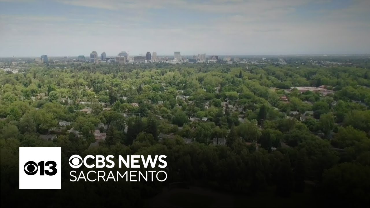 New efforts underway to keep Sacramento's City of Trees moniker