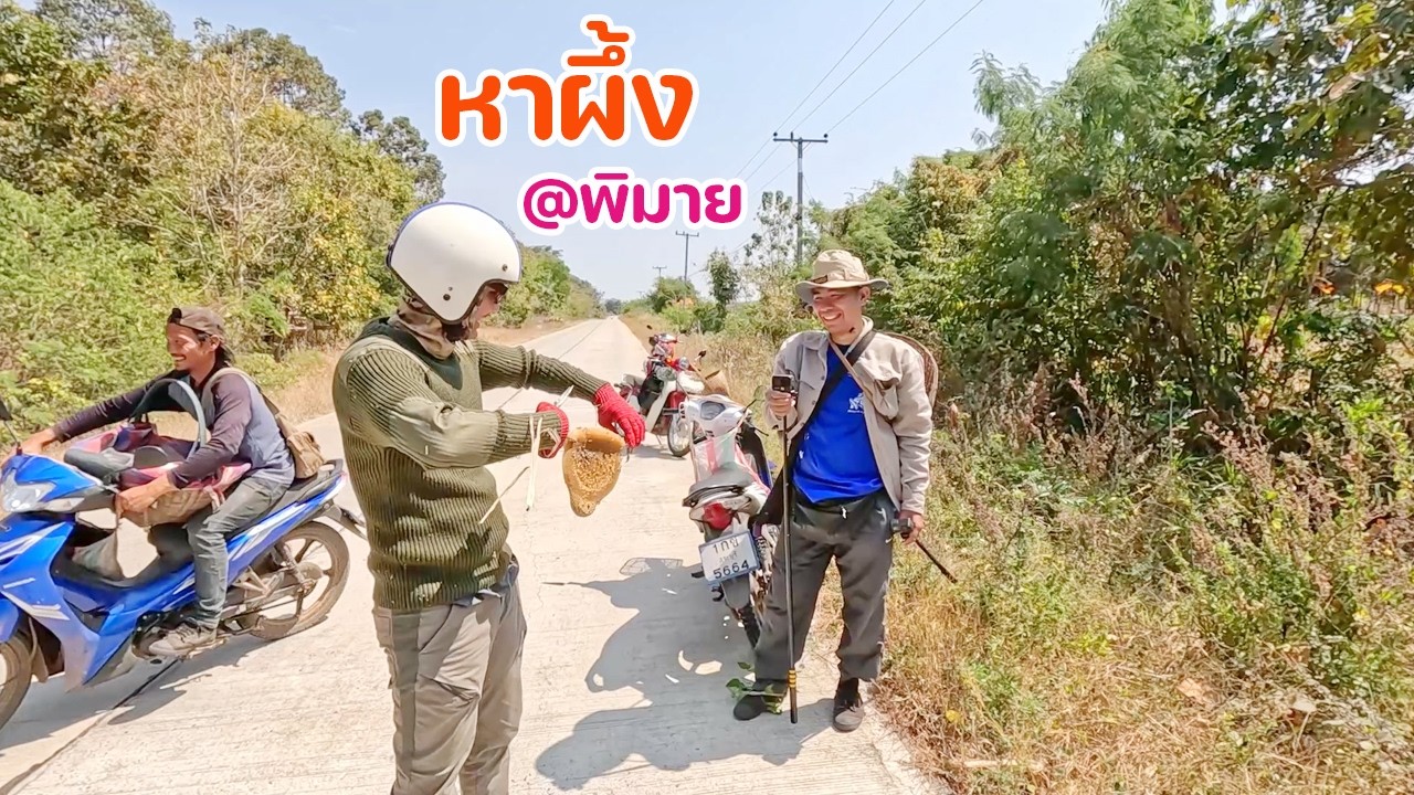 ขี่มอไซด์ หาผึ้ง หามิ้ม มุ่งหน้า อำเภอพิมาย กับทีมงาน สนุกมาก