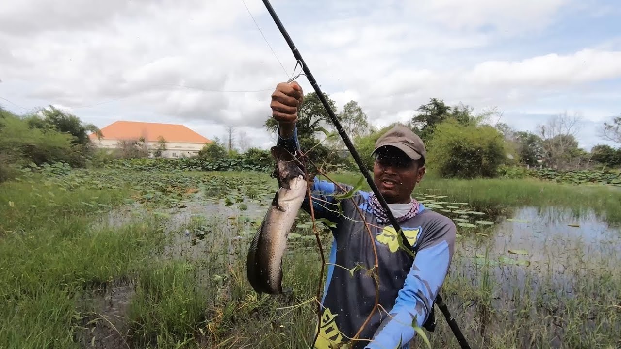 ចូលចំប្លង់ត្រីនៅ ទំនេរកន្លះថ្ងៃបបក់ត្រីនៅអង្គស្នួលបានប្រាំត្រីដាច់មាត់អស់ពីរ