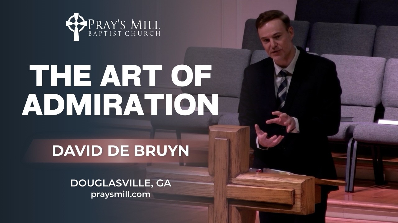 The Art of Admiration | David de Bruyn