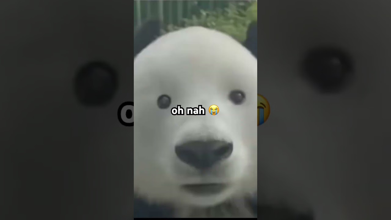 #music