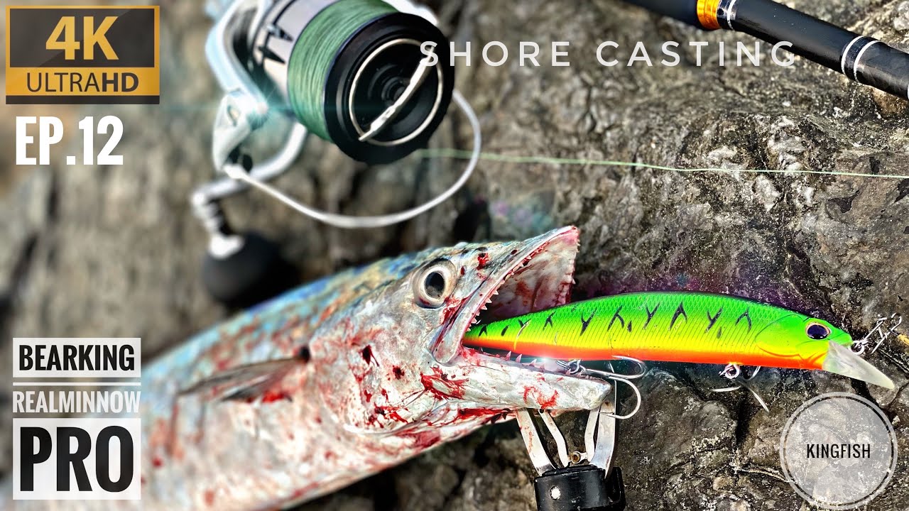 The KINGFISH cant resist this LURE. The best lure for kingfish in abu dhabi shores. medium set up