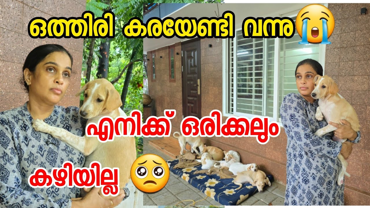 ഒത്തിരി കരയേണ്ടി വന്നു 😭 എനിക്കൊരിക്കലും ചെയ്യാൻ കഴിയില്ല | Family