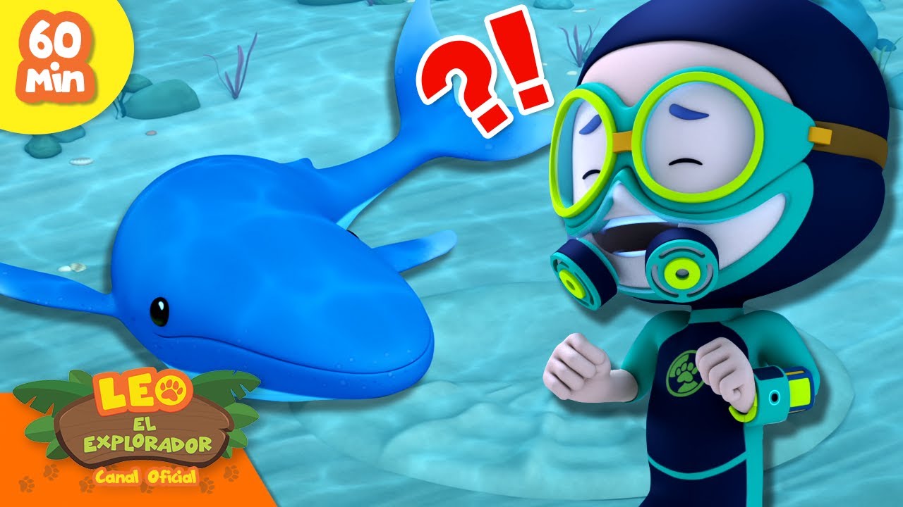 ¿¡LA BALLENA JOROBADA BEBÉ ESTÁ ATRAPADA?! 😱🐳 | Mitos del Mar | Leo, El Explorador | Animación