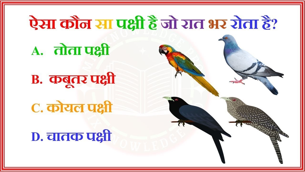 GK Question ।। IAS Gk Question and Answer ।। GK Quiz in Hindi।।