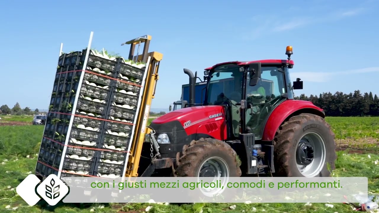 In campo con te | Azienda Leone