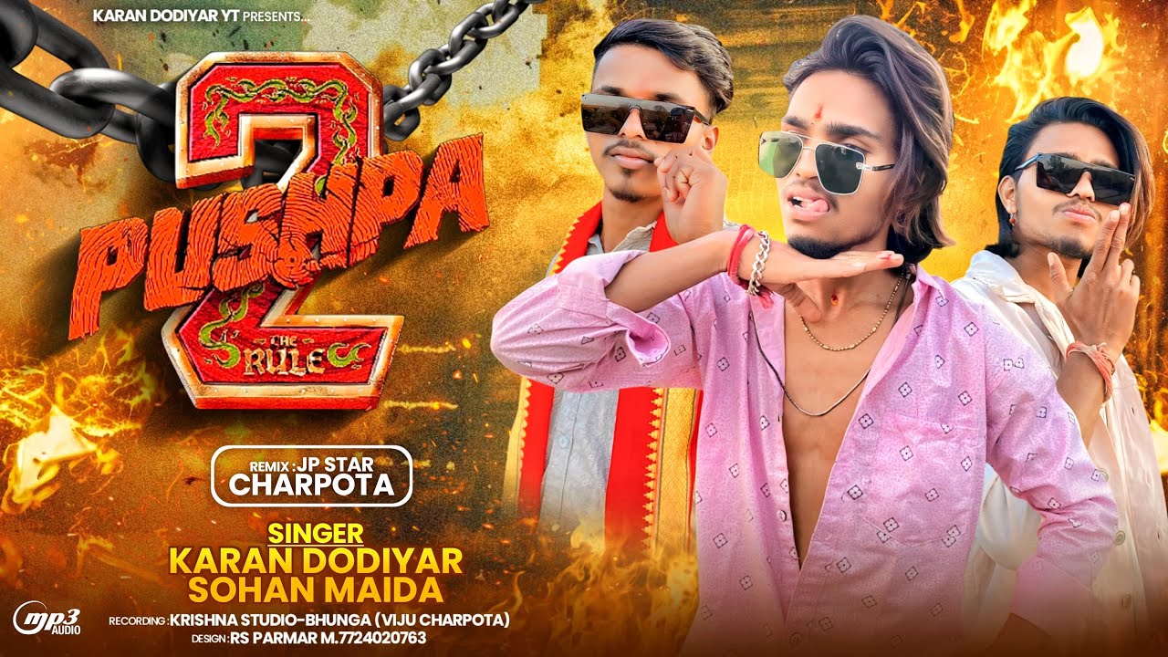 पुष्पा 2 New Timli song 2025 / Pushpa 2 /singer Karan Dodiyar Sohan Maida / Damaka Timli 2024