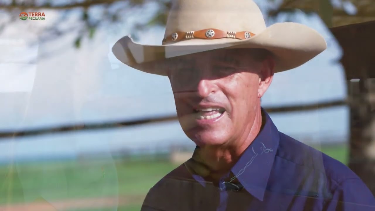 TERRA PECUÁRIA & SINDI CASTILHO - 14º LEILÃO ESSÊNCIA DA RAÇA SINDI E SEMANA SINDI CASTILHO