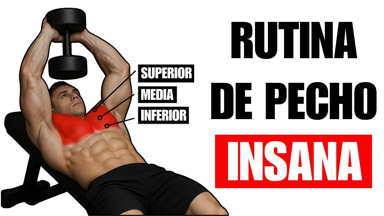 ¡Los Únicos 6 Ejercicios Que Necesitas Para un Pecho Perfecto (Respaldados Por la Ciencia!)