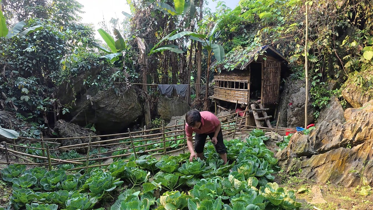 Tran Cong will sell the vegetables from the garden, clean up, and return the house to them soon.
