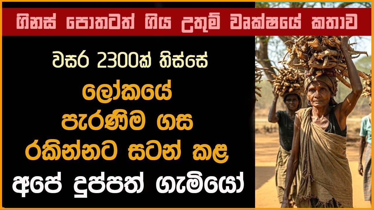 ගිනස් පොතටත් ගිය ලෝකයේ පැරණිම ගස රැක ගත් අපේ දුප්පත් ගැමියෝ