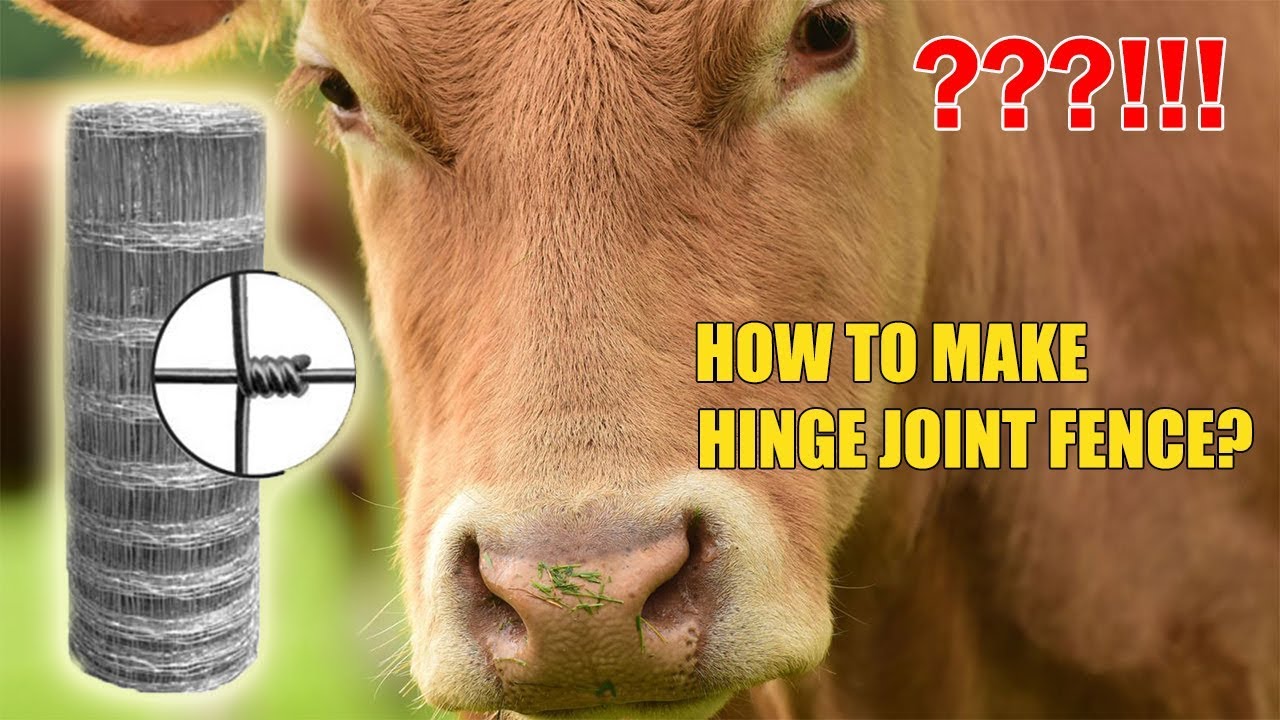 How to make hinge joint fence/field fence mesh? --grassland fence mesh making machine