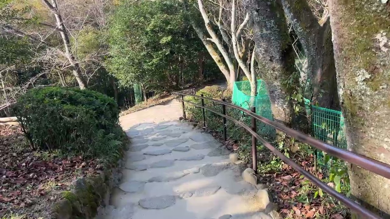 2026 01 18 大神神社002