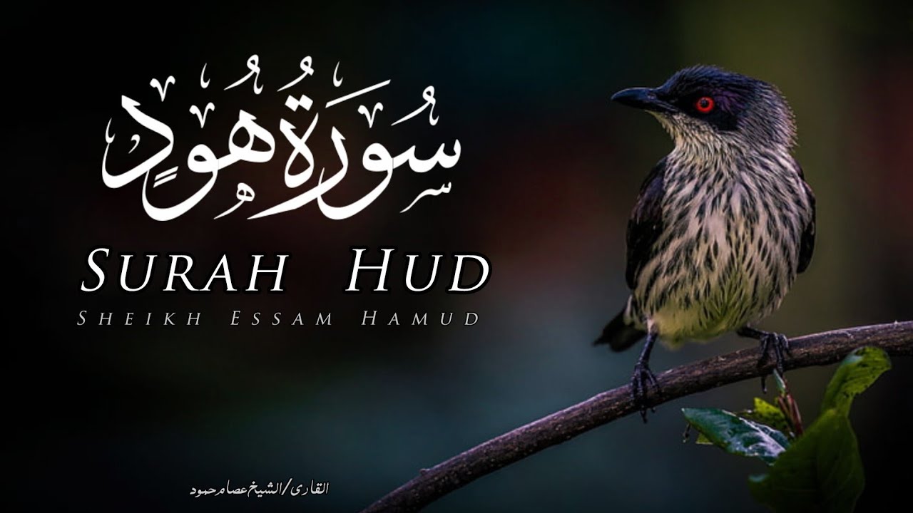 سورة هود | الشيخ عصام حمود | تلاوة القرآن | Surah Hud 