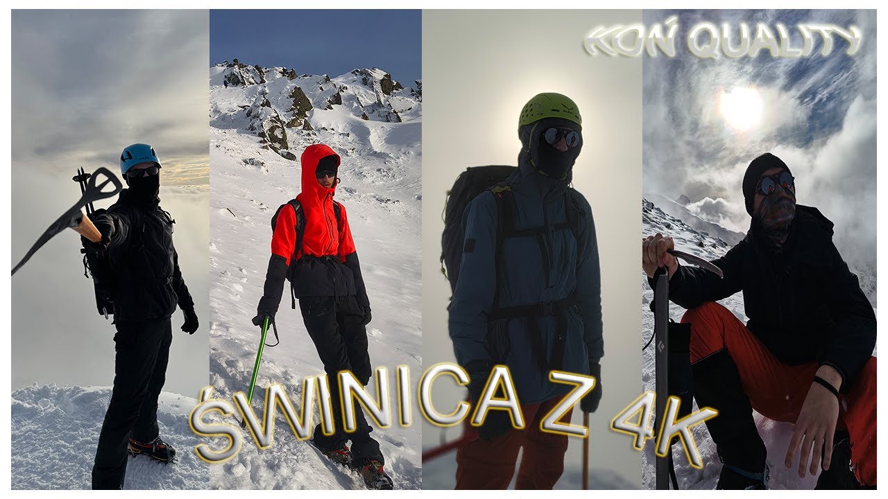 - ŚWINICA I PRZYJACIELE -