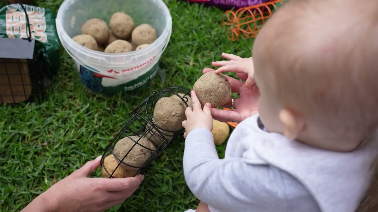 Westermans Suet Balls for Wild Birds | High-Energy Nutrition from Petworld