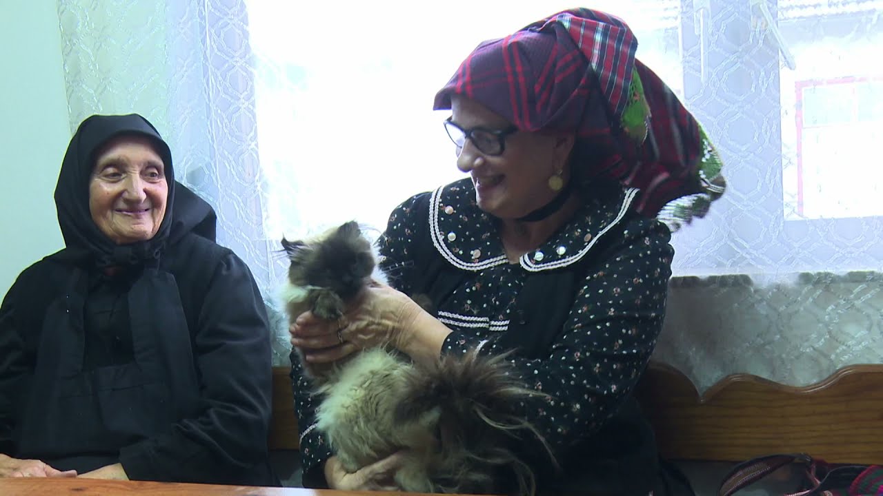 SBTV - BY MATINI DIVANI - 21.11.2021.