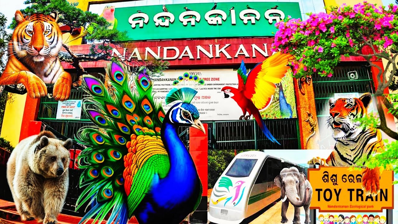 Nandankanan Zoological Park || BHUBANESWAR ZOO