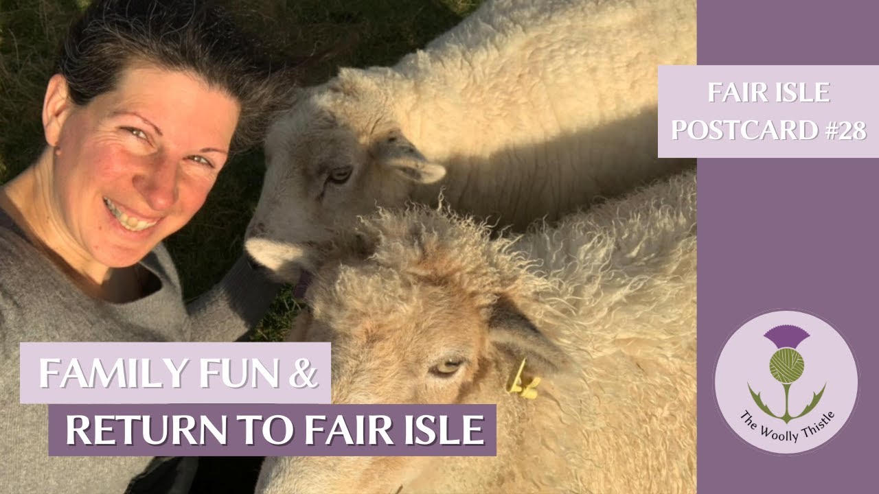 Fair Isle Postcard #28- Family Travels, Return to Fair Isle and Pirate Sheep!