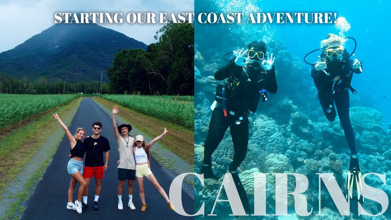 FLYING TO CAIRNS! Swimming With Sharks & A Road Trip With New Friends!