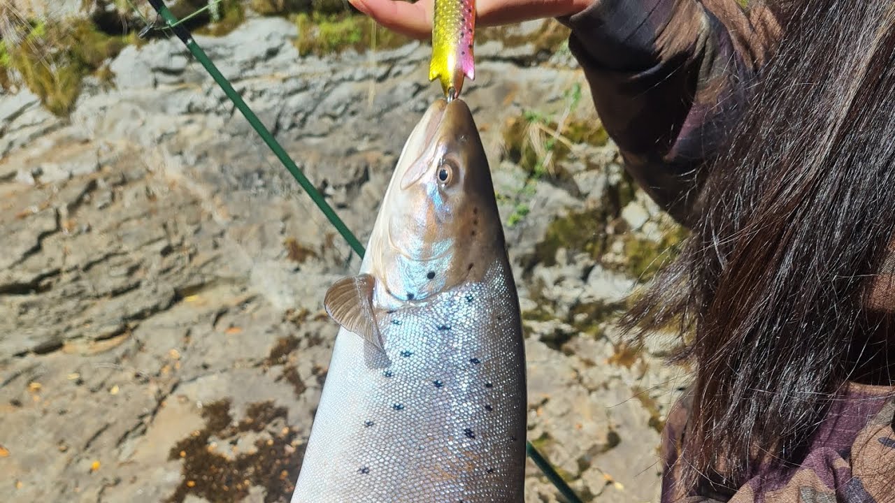 Sea Run Bronw - Río Caleta #fishing #chileflyfishing #patagonia #pesca #troutfishing #truchas #fyp  