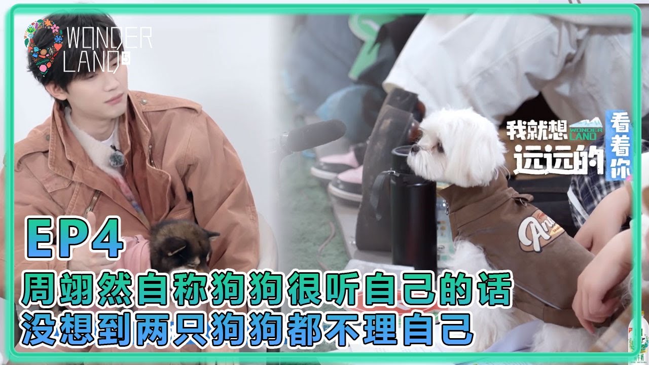 【五十公里桃花塢S5】EP4：打脸来得太快！周翊然自称狗狗很听自己的话，没想到两只狗狗都不理自己！