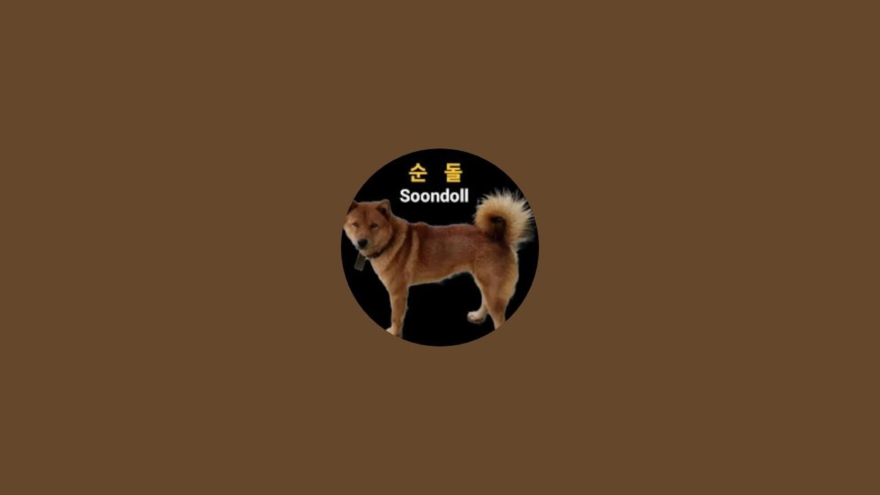 소백 진돗개 라이브 스트리밍 중