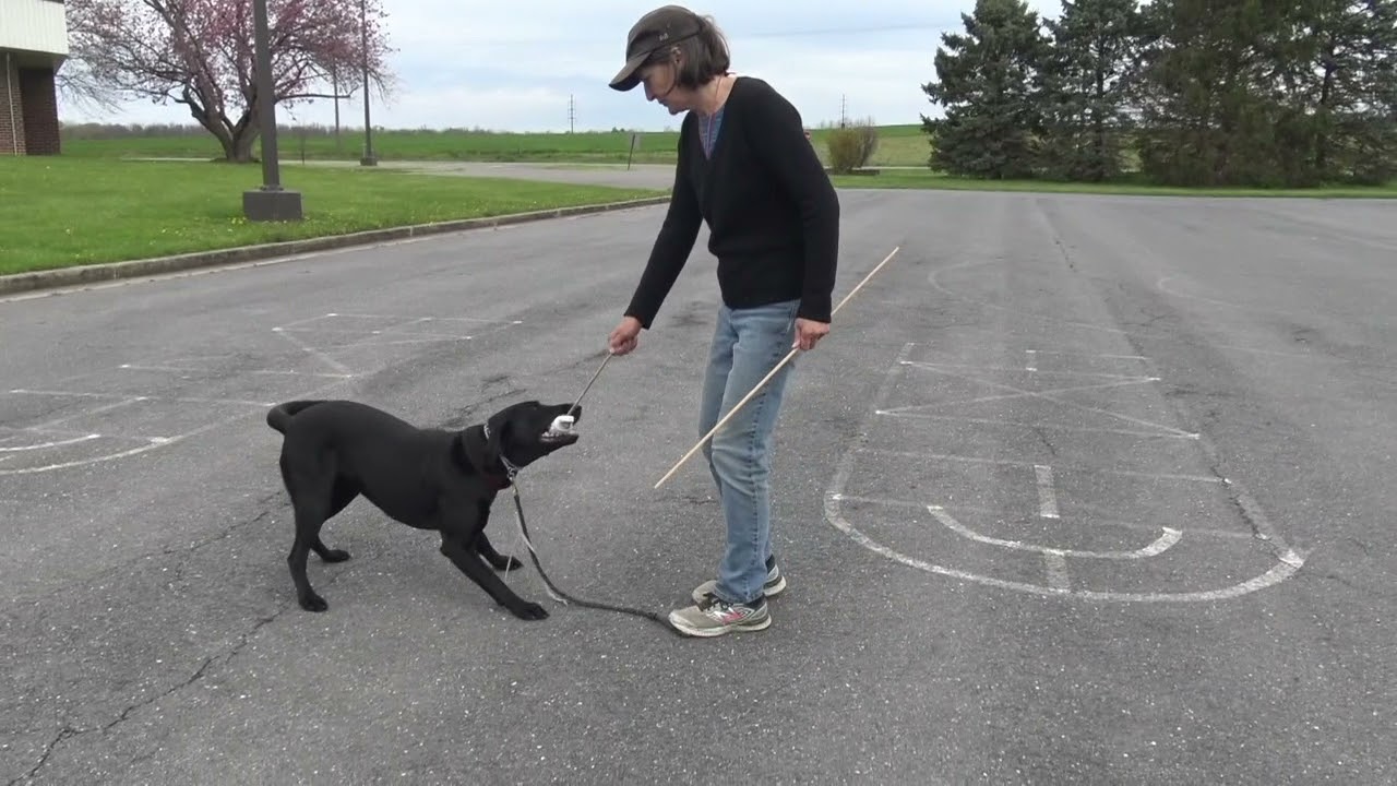 Heeling: Dealing with Forging and Sidewinding