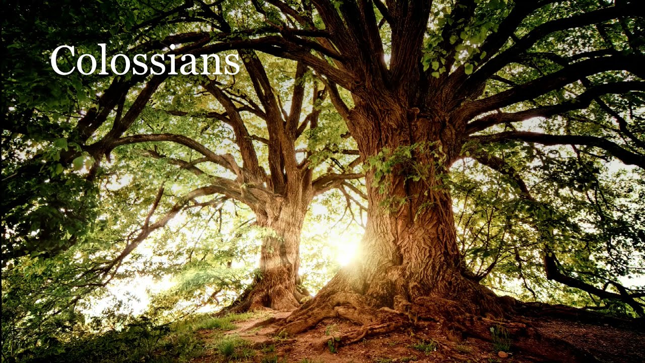 The Book of Colossians - Good News Translation (GNT) - Audio Bible